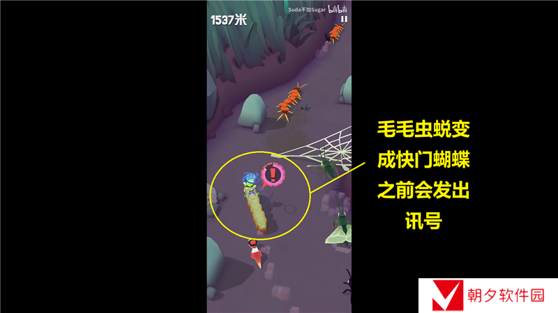 疯狂动物园花园特殊动物捕捉方法