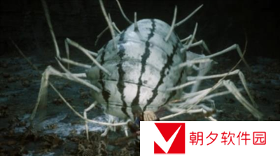 黑神话悟空游戏中有多少个boss-黑神话悟空游戏boss数量分享