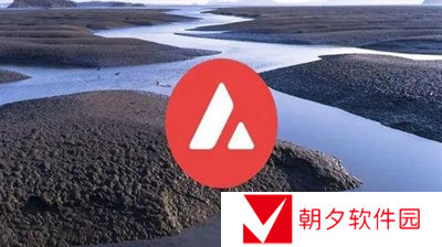 雪崩币是什么 雪崩币详细一览